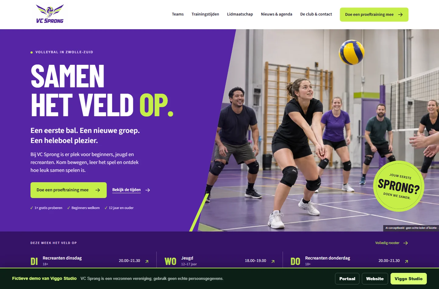 Voorbeeldwebsite VC Sprong